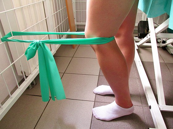Przykładowy instruktarz ćwiczeń stosowany w dysfunkcji stawów kolanowych