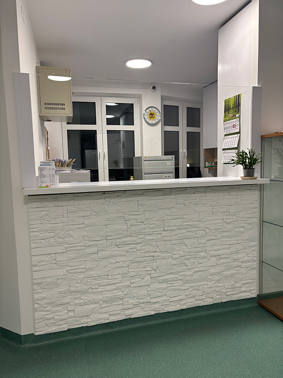 ESTETICA-MED, recepcja